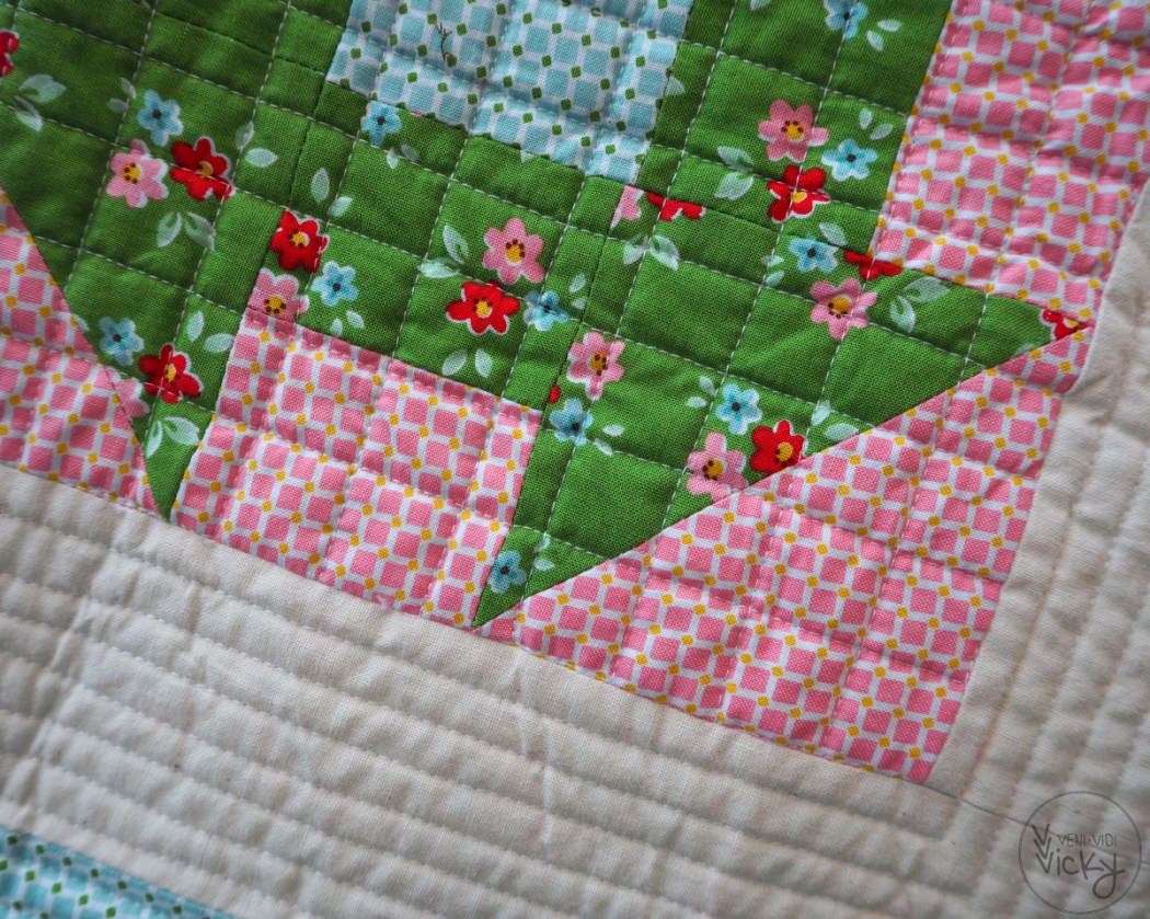 veni vidi vicky | Backyard Roses